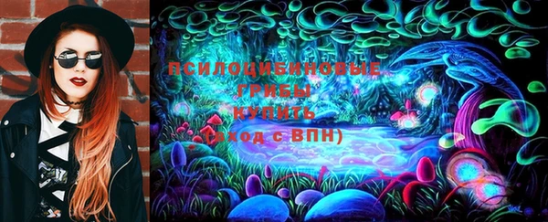 бошки Няндома