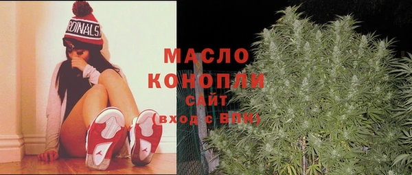 бошки Няндома