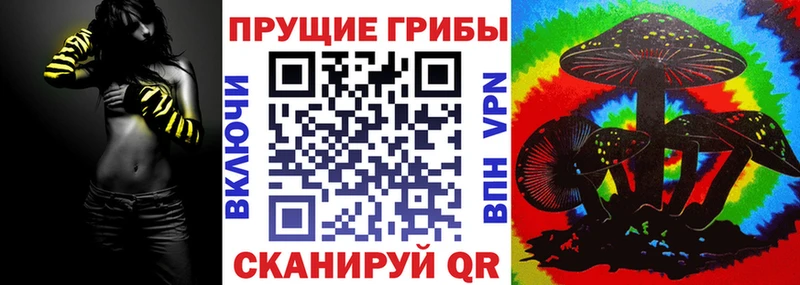 нарко площадка официальный сайт  Петровск-Забайкальский  Галлюциногенные грибы Magic Shrooms 